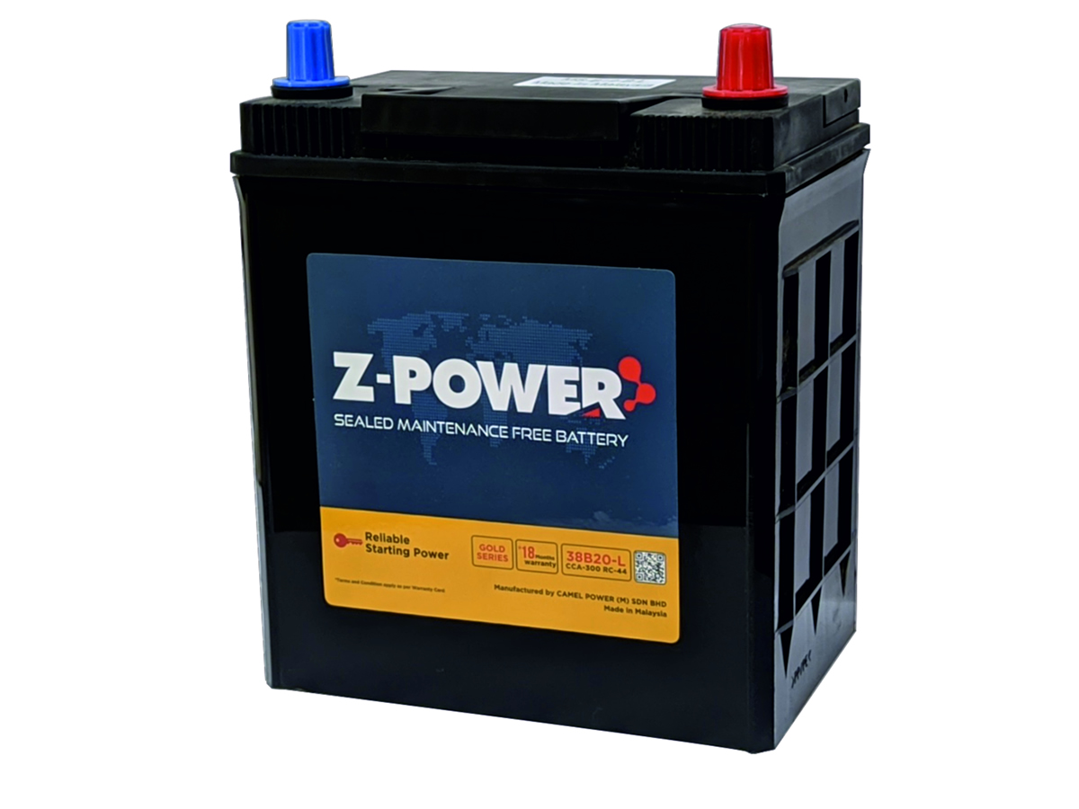 Automotive SMF Battery